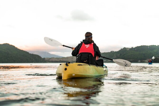 Glow Worm Kayak Tour - Inside the glow worm caves: what you’re really seeing