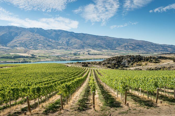 Gourmet Food and Wine Tour Queenstown All-Inclusive Tour - Key things that make this tour worth your time