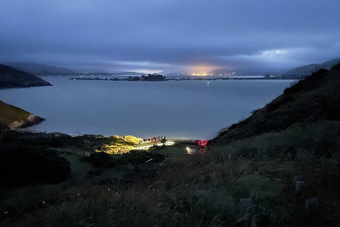 Guided Evening Penguin Viewing Otago Peninsula, Dunedin, New Zealand - The reserve walk: gravel, boardwalk, and steps you should expect