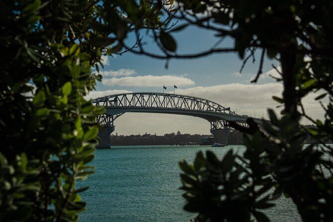 Half-day Discover Auckland City Sightseeing Tour - Key Highlights Worth Showing Up For