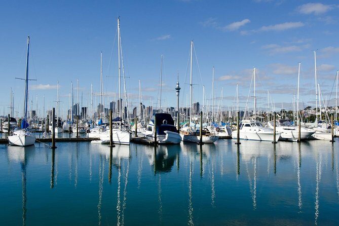 Half-day Discover Auckland City Sightseeing Tour - Over the Harbour Bridge: Marina Views and North Shore Perspectives