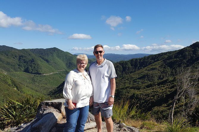 Half Day Martinborough Winery Tour from Wellington - The Remutaka Hill leg: scenic drive plus useful context