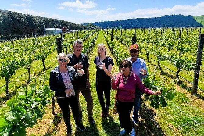 Half Day Martinborough Winery Tour from Wellington - Martinborough’s cellar doors: how the tasting pacing really works