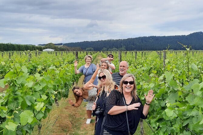 Half Day Martinborough Winery Tour from Wellington - What you get for $114.81: the value check that matters