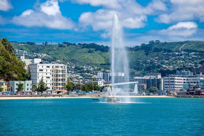 Half Day Tour of Wellington - Key highlights you’ll notice right away