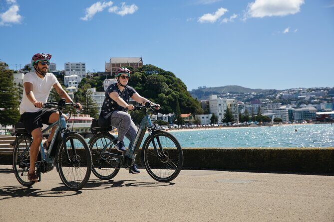 Half Day Tour of Wellington - New Zealand Parliament Buildings and the Beehive photo moment