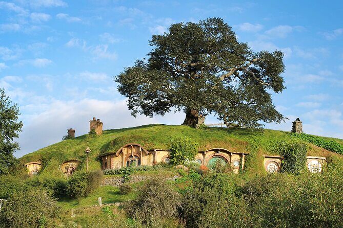 Hobbiton Day Tour from Rotorua with lunch at Hobbiton - Quick take: what matters most on this Hobbiton day tour