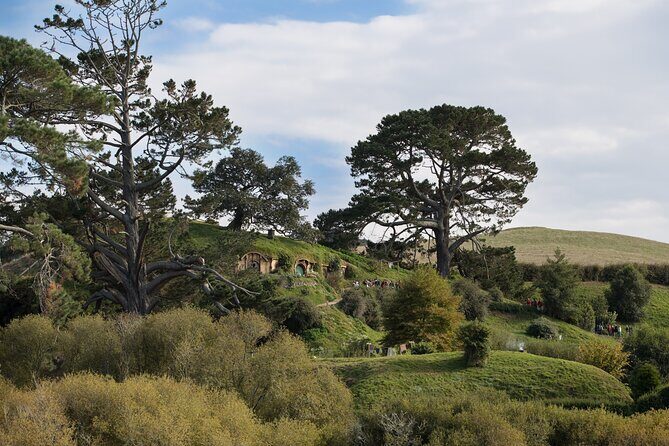 Hobbiton Day Tour from Rotorua with lunch at Hobbiton - Lunch at The Green Dragon Inn: your midday reset