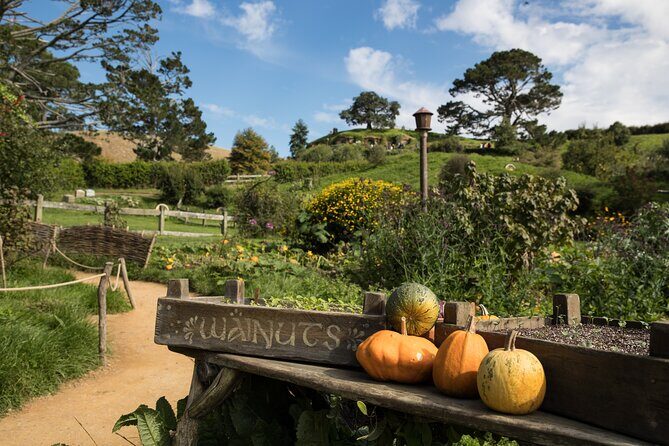 Hobbiton Day Tour from Rotorua with lunch at Hobbiton - How the itinerary feels across 7 hours (and why it works)