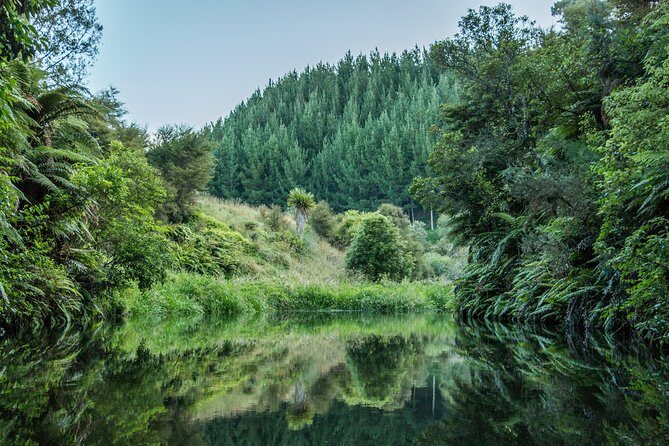 Hobbiton Day Tour from Rotorua with lunch at Hobbiton - Weather and day-of changes: be ready, not worried