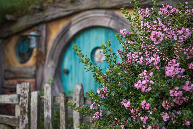 Hobbiton Movie set & Waitomo Caves Small Group Tour From Auckland - Key Highlights You’ll Feel Immediately