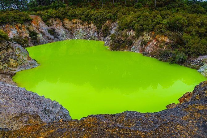 Hobbiton & Rotorua including Wai-O-Tapu - Small Group Tour from Auckland - Price and value: what NZD offers you for $266.23