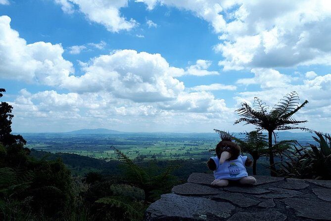 Hobbiton Transport & Tauranga Highlights Excursion from Tauranga - Tips to make your day smoother (and more fun)