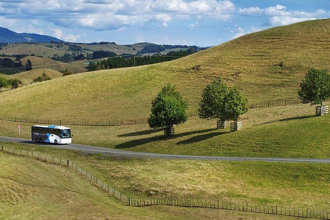 Hobbiton & Waitomo Caves Guided Tour from Auckland with Lunch - LOTR and Hobbit connections: why this tour works even if you’re not a die-hard fan