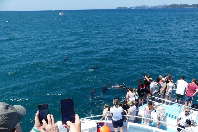 Hole in the Rock Scenic Cruise including Dolphins and Island stop - The Hole in the Rock Passage: Best Viewing Happens When Seas Behave