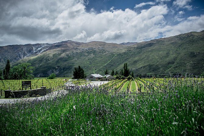 Hop on Hop off Wine Tours Queenstown - Queenstown wine country without the driving headache