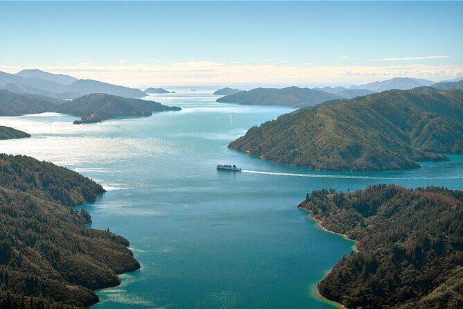 InterIslander Ferry - Picton to Wellington - Key things to know before you book