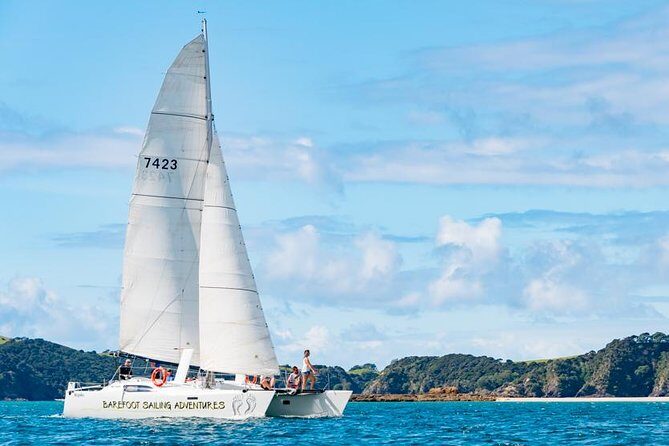 Island Hopper Day Cruise - sailing to wildlife sanctuary island - 6 hr cruise - Key things I’d plan around