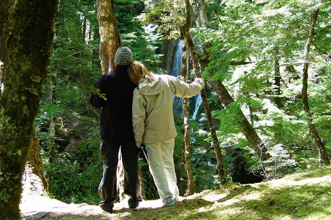 Jet Boat and Wilderness Walk Tour from Wanaka - Lord of the Rings and Hobbit Filming Locations: Why It Isn’t Just Marketing