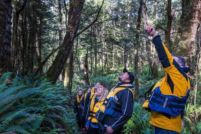 Jet Boat Journey through Fiordland National Park - Pure Wilderness - Stepping into Fiordland National Park for a short, easy walk