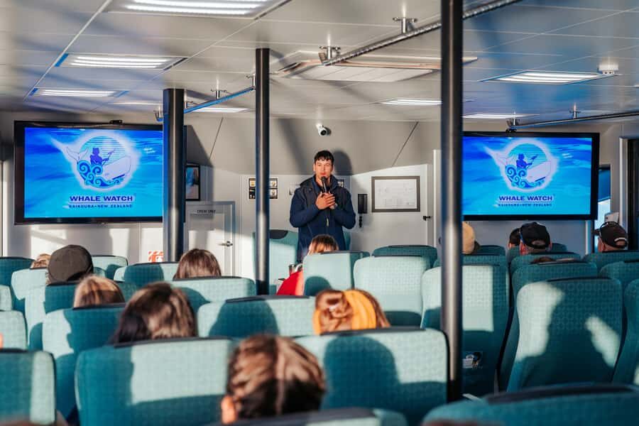 Kaikoura: Whale Watching Cruise - Two Hours at Sea: How the Sighting Hunt Plays Out