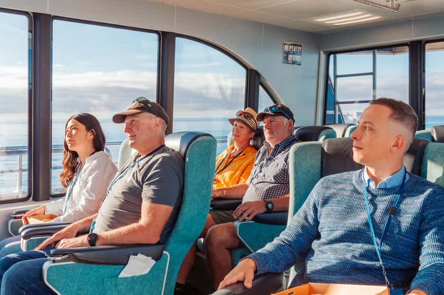 Kaikoura: Whale Watching Cruise - Dolphins, Seals, and Birds: The Bonus Wildlife That Changes the Day
