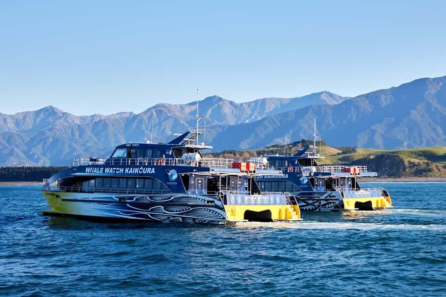 Kaikoura: Whale Watching Cruise - Crew Skills and the Human Touch: Names to Watch For