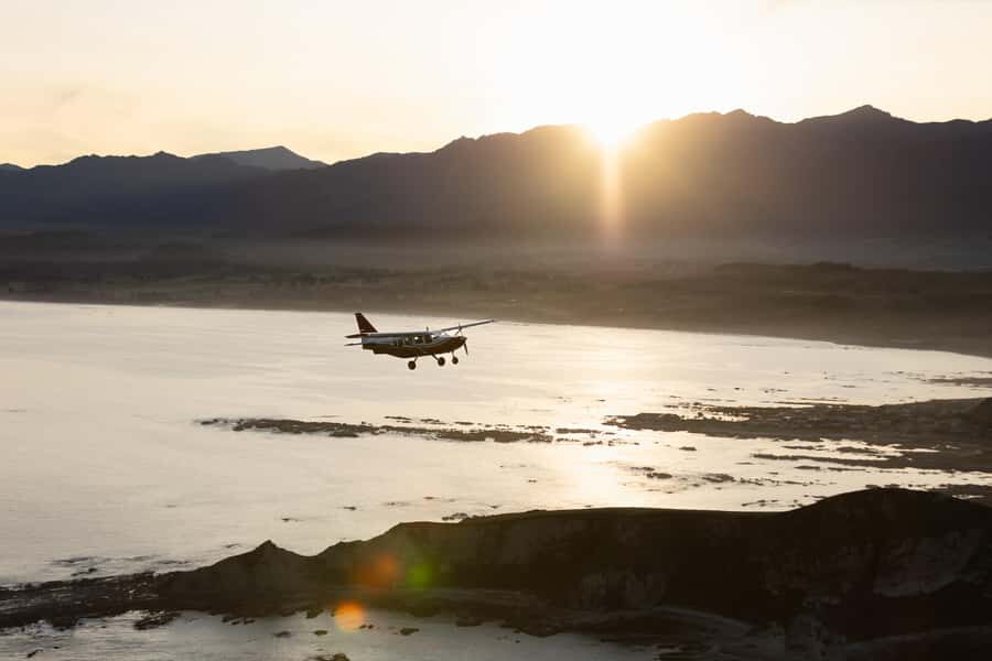Kaikoura: Whale Watching Flight with Commentary - Preflight at 627 State Highway 1: why check-in timing matters