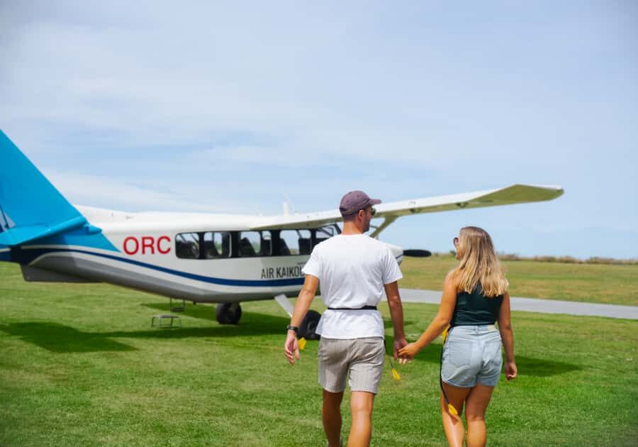 Kaikoura: Whale Watching Flight with Commentary - Comfort, weight limits, and motion: what to consider before you book