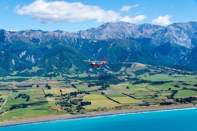 Kaikōura Whale Watching Scenic Flight (40 Minutes) - Scenery on top of wildlife: Kaikōura from alpine to sea