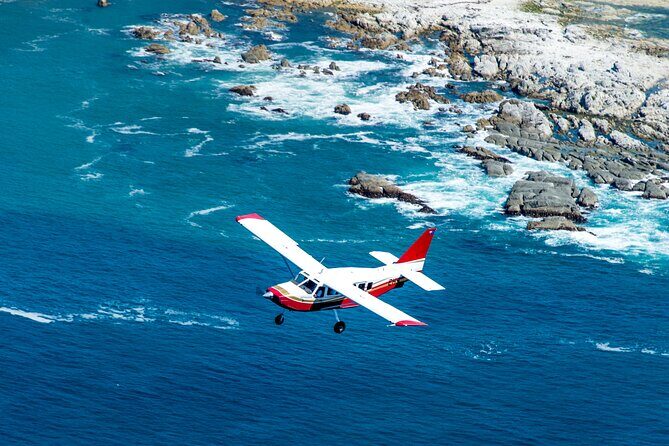 Kaikōura Whale Watching Scenic Flight (40 Minutes) - Weather, refunds, and how flexible you should be
