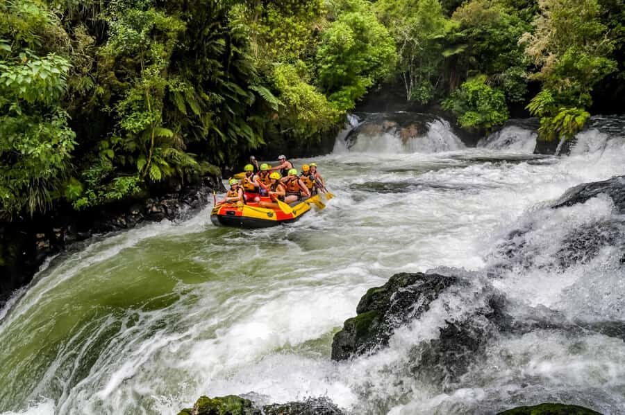Kaituna River and Tutea Falls Whitewater Rafting - Key things that make this rafting run worth your time