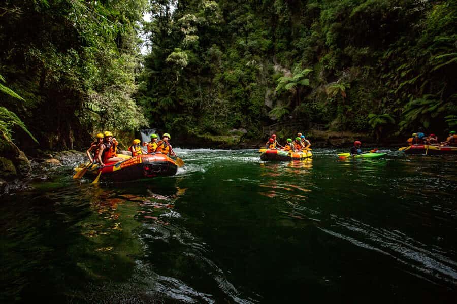 Kaituna River and Tutea Falls Whitewater Rafting - What to do after: walking track, photos, and craft beer nearby