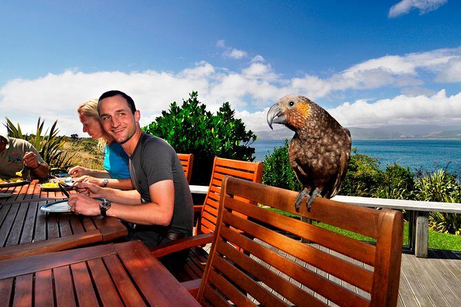 Kapiti Island Classic Guided Day Tour - Key highlights