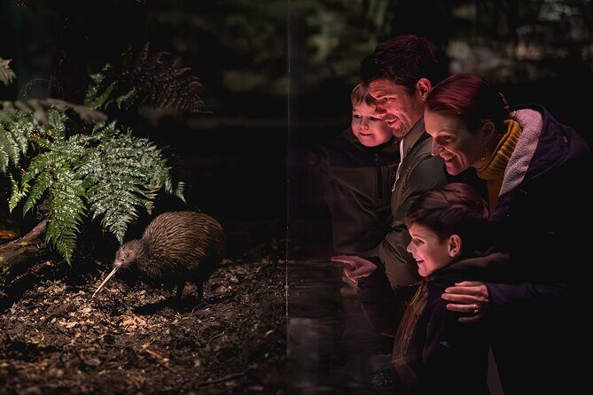 Kiwi Park Queenstown Admission - Kiwi Birdlife Park in central Queenstown: what you’re really buying