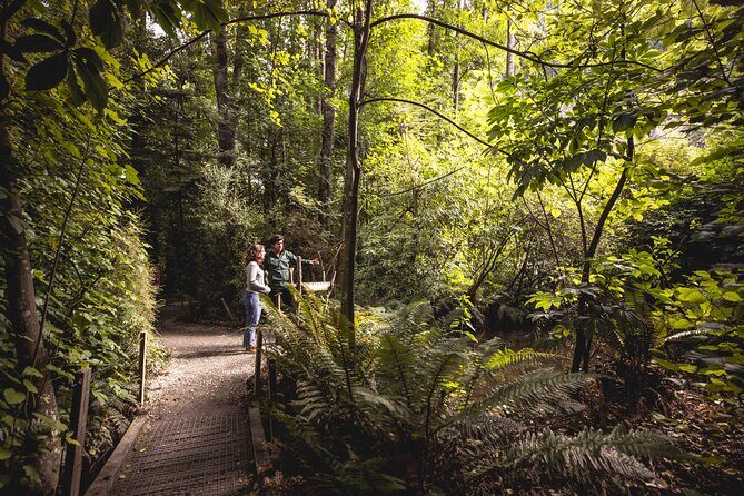 Kiwi Park Queenstown Admission - Kiwi Encounters: the nocturnal room is magical, but darkness is real
