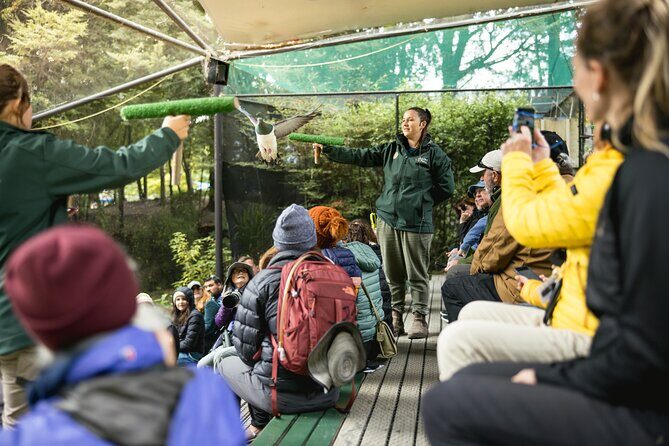 Kiwi Park Queenstown Admission - Walking the native bush: trout streams, exhibits, and the conservation story