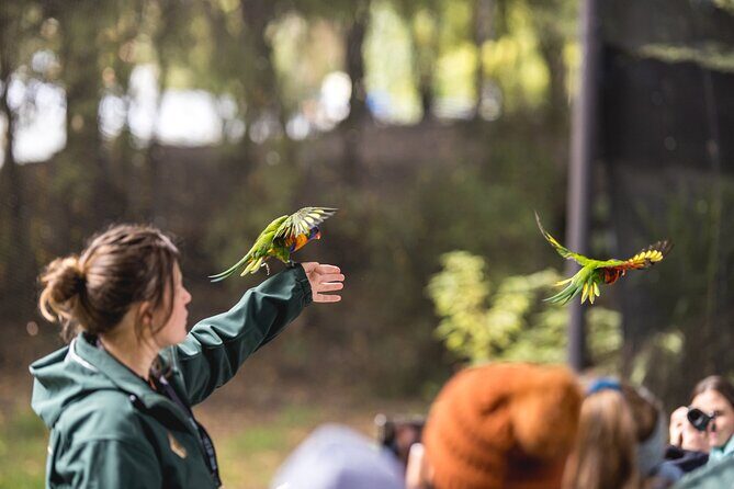 Kiwi Park Queenstown Admission - Price and value: how $39.72 holds up (and when it might not)