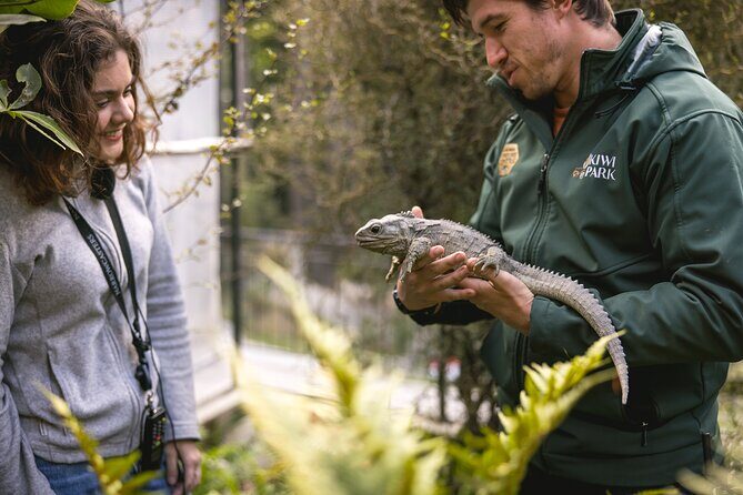 Kiwi Park Queenstown Admission - Best way to plan your 2–3 hours (and not waste it)