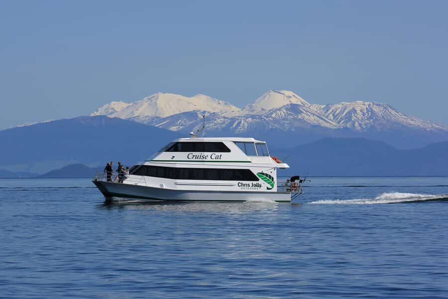 Lake Taupo: 1.5-Hour Māori Rock Carvings Cruise - Getting on board: where to meet and what the catamaran is like