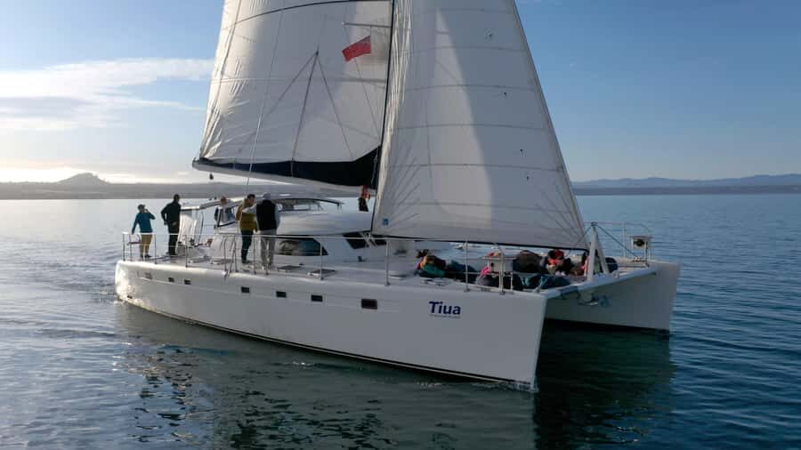 Lake Taupo: Luxury Sailing Catamaran to Māori Rock Carvings - Māori Rock Carvings: how you actually get good photos