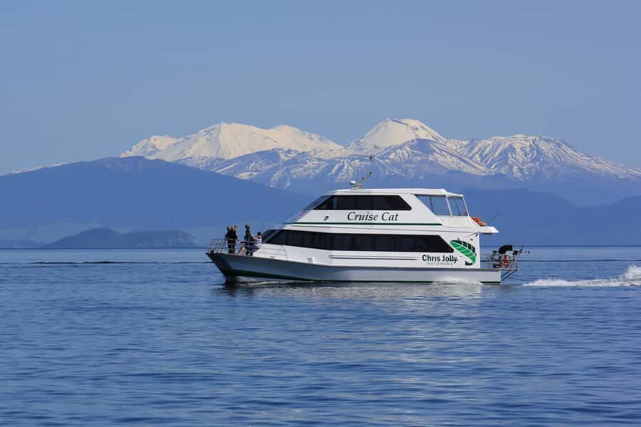 Lake Taupo: Maori Rock Carvings 10.30 AM 1.5-Hour Cruise - Tongariro National Park Views: The Scenery That Frames the Story