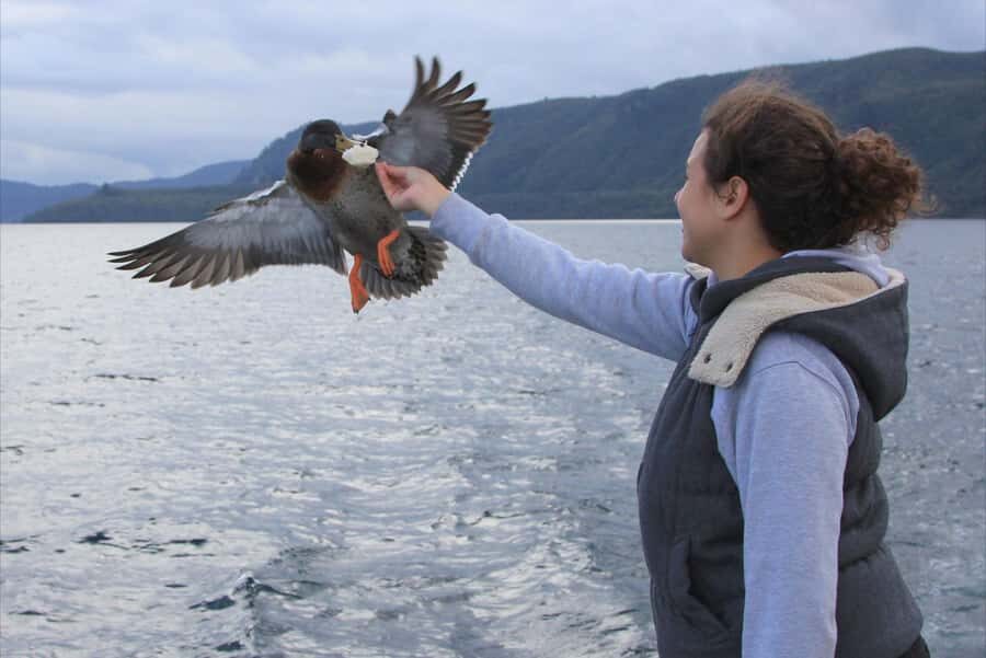 Lake Taupo: Maori Rock Carvings 10.30 AM 1.5-Hour Cruise - The Carving Stop: Up Close, With Time for Photos