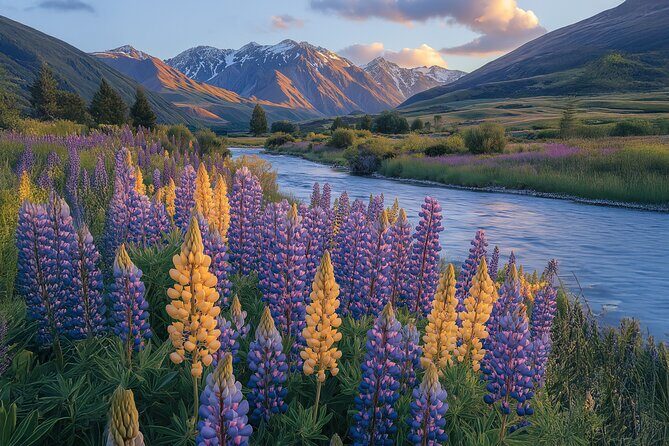 Lord of the Rings Scenic Half Day Tour from Queenstown - Stop 1: Glenorchy-Queenstown Road and the first film-location moments
