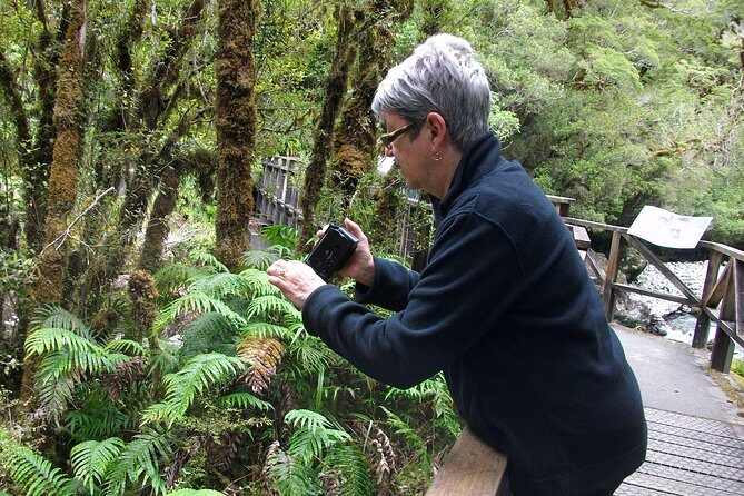 Luxury Milford Sound Coach and Scenic Cruise - The Driver Makes or Breaks the Day: Commentary, Safety, and Keeping You Awake