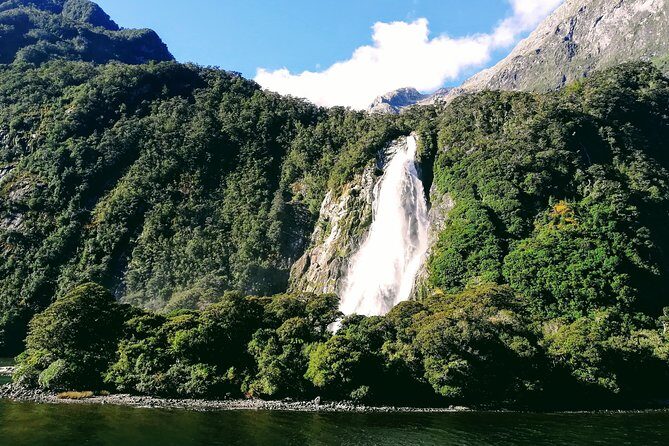 Luxury Milford Sound Coach and Scenic Cruise - Food on the Day: Included Options, Mixed Impressions, and What to Do