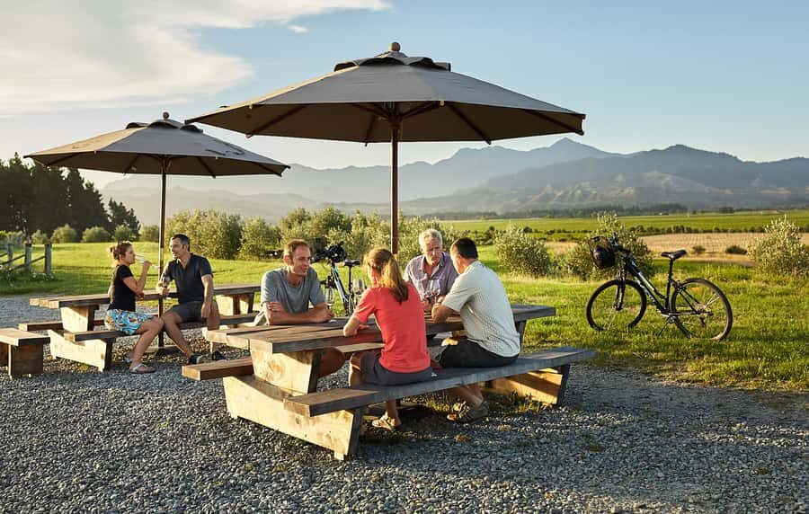 Marlborough: Full-Day Self-Guided Biking Wine Tour - Why bike-based Marlborough wine beats a rigid schedule