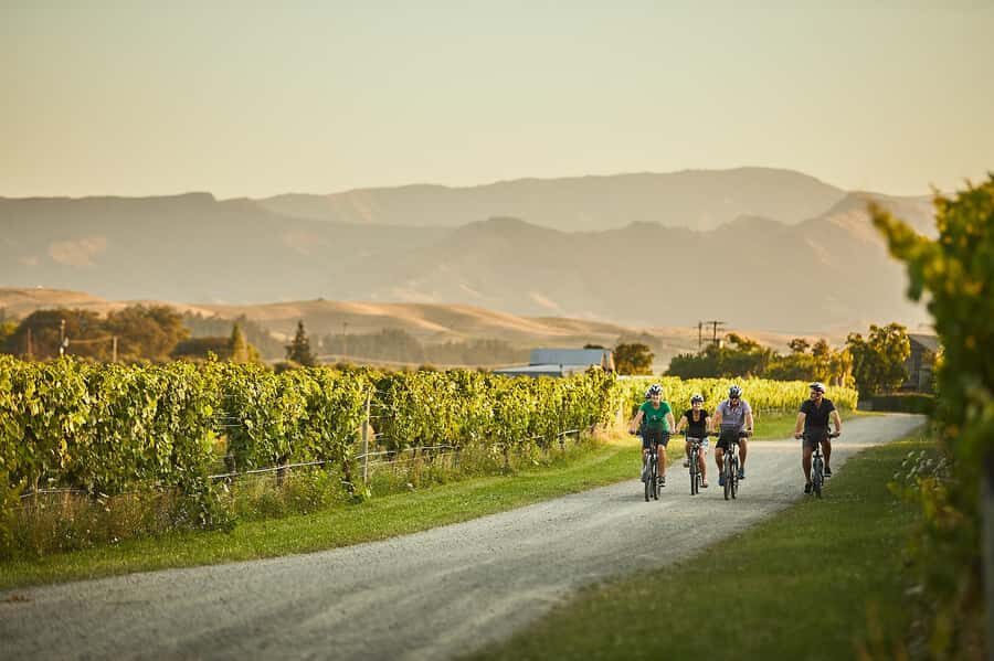 Marlborough: Full-Day Self-Guided Biking Wine Tour - “12 wineries within 3 km” sounds simple. Here’s how it plays out.