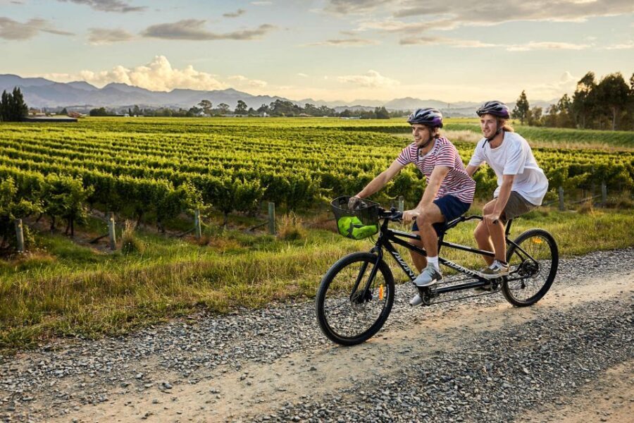 Marlborough: Full-Day Self-Guided Biking Wine Tour - Picking your stops: how to build a day around your wine taste