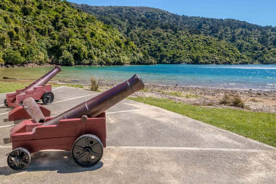 Marlborough Sounds and Ship Cove Cruise from Picton - Key things I’d focus on before you go